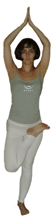 Vrksasana
